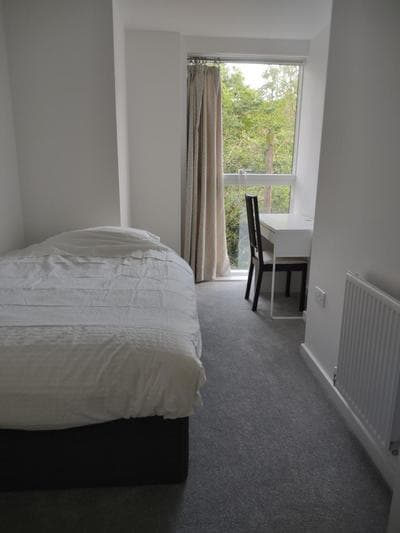 Modern flat shared with host, park view in Clapton