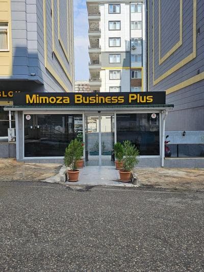 MİMOZA BUSİNESS PLUS apart