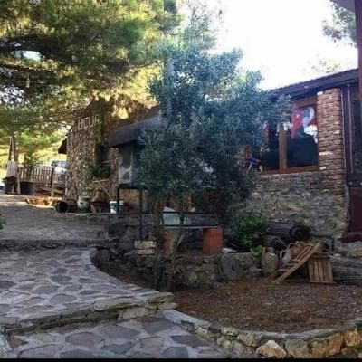 ida bay doğa evleri