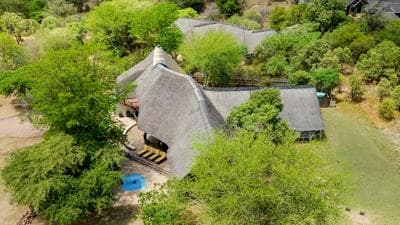Meerkat Manor @ Zebula