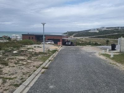 Pamela's View