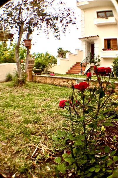 Maria's Sweet Home
