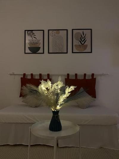 Netflix & Wi-fi Dacia home