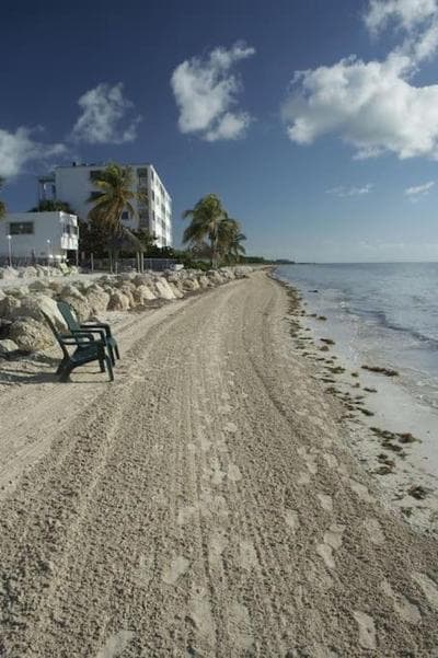 Oceanfront oasis with beach views & heated pool #34