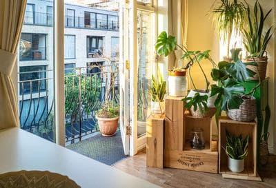 Adorable Hackney Flat with Balcony