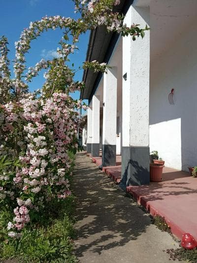 Szelíd Tisza Vályog Vendégház Tiszafüred