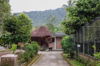 The Kori Homestay