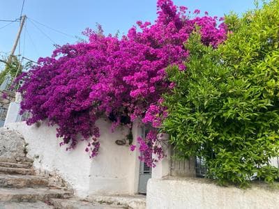 Antiklea Villa