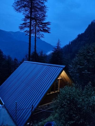 Forest View Cottage
