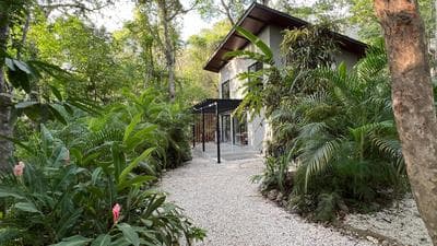 Pochote River house