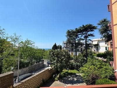 La Magnolia