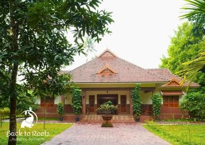 backtorootsayurveda