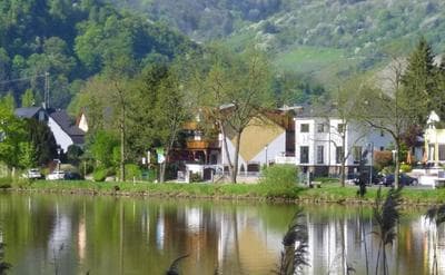 Moselidyll Traumferienwohnung In Exponierter Moselufer Lage