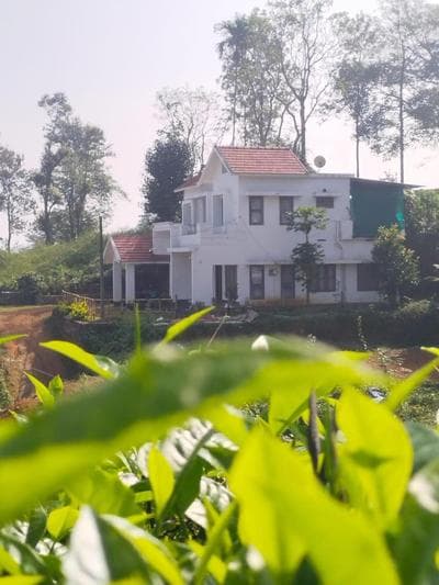 Whispering Tea Villa