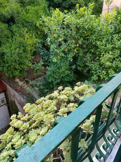 B&B A casa di Freddie