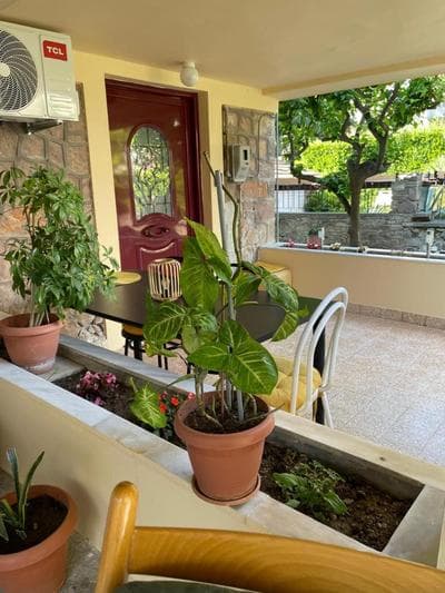 Peculiar Garden Apartment