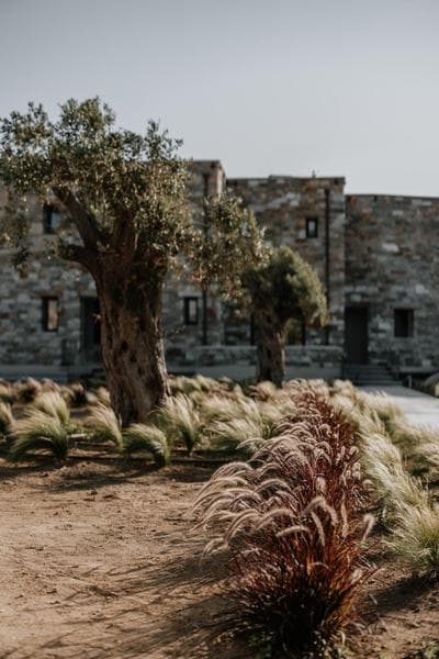 ONYM Curated Villas