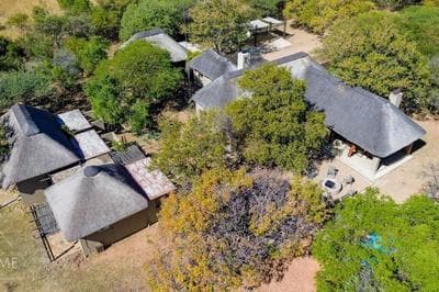 Bush Baby at Zebula