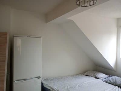 Rex gaf