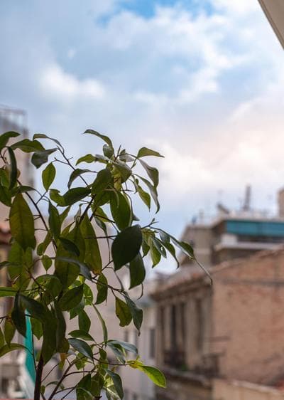 Athens Hidden Gem Smyrnis