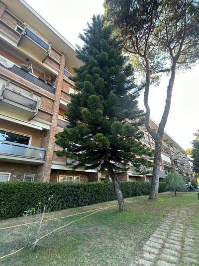 nel cuore di Roma monolocale con piscina