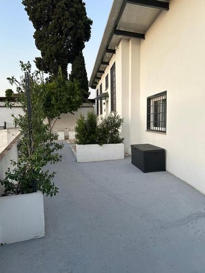 lemon suites