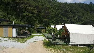 Andong Looksglampingandpam