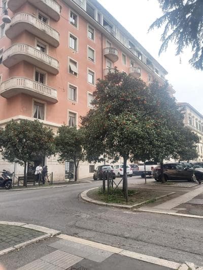 Holiday Colosseum Rome