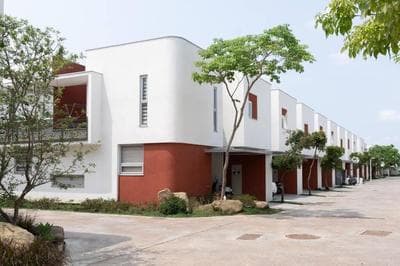 Plant House
