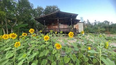 Nokkamin Home Chiang Dao