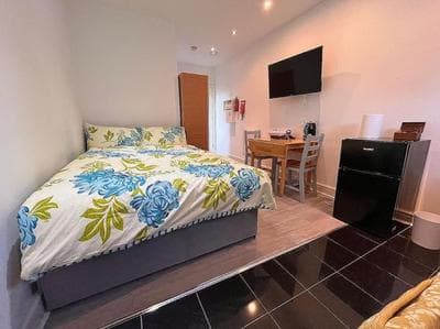 Modern 1-Bed Studio in London