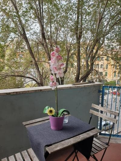Roma Trastevere Holiday