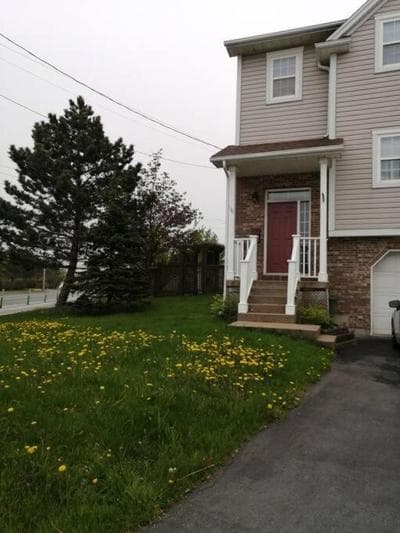 Cozy & Private basement suite, centrally located