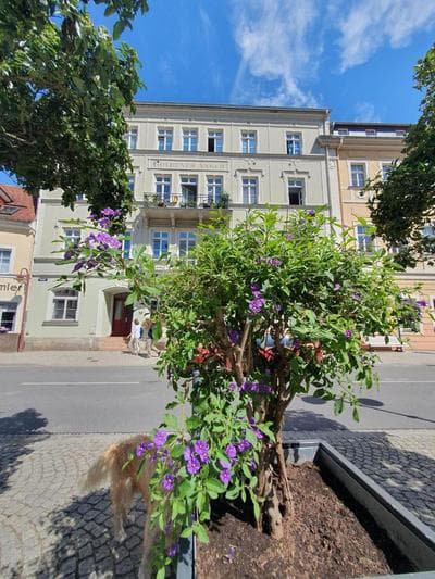 Am Springbrunnen