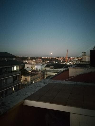 Flat on Roman Rooftop