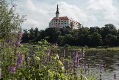 Apartmány Princ Děčín