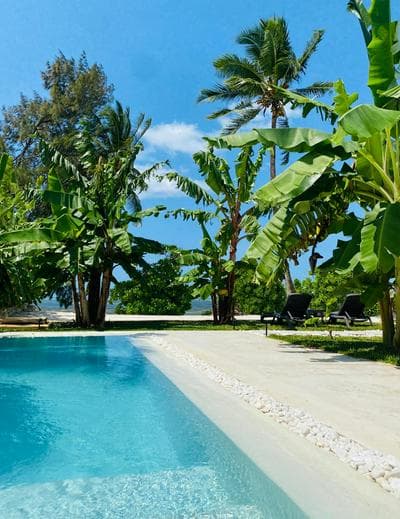 Luxury LIONS VILLAS ZANZIBAR - with Private Cook & Infinity Pools