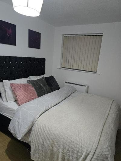 Emerald Apartment with Triple A star Proximity