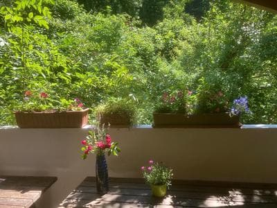Pension Zur Freiheit