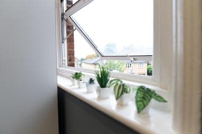 Beautiful small studio
