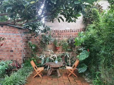 Oxy Home - Homestay Măng Đen