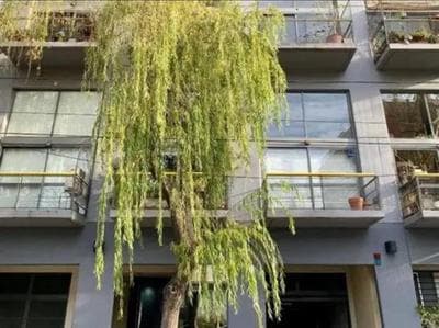 Apartment in Colegiales