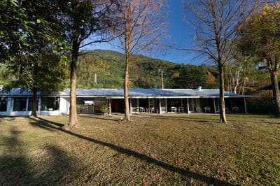 白陽山莊寵物民宿 Whitesun Pet Resort