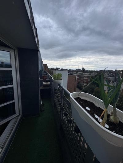 Double room in London Penthouse Homestay
