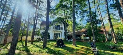 Snghe homestay Măng Đen