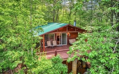 LunaBear's Hideaway