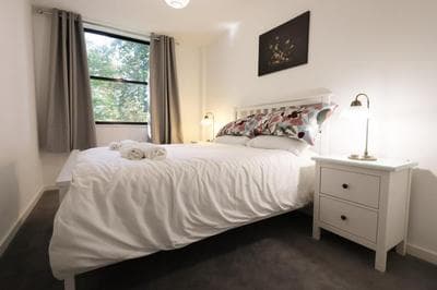 Modern Comfort Near Castle St with WiFi & Parking!
