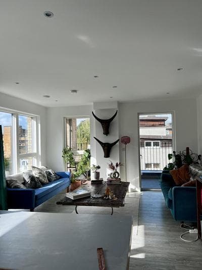 Dalston jungle room