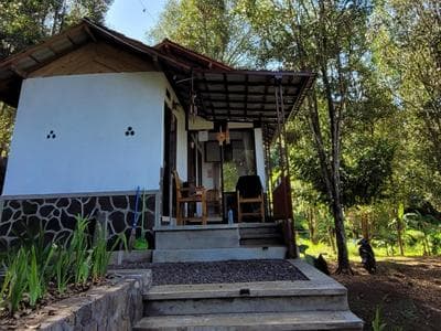 D'Langun Bali