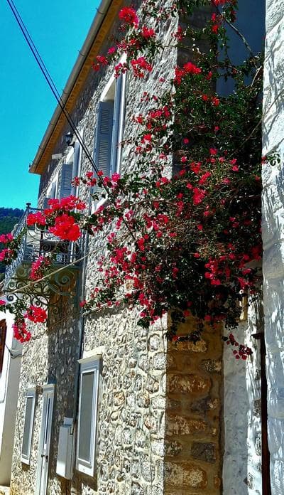 Mansion Alexandri
